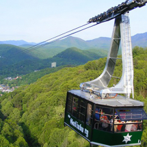 Area experiences GTS Area experiences GTS