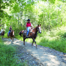 Bushkill Group, September 20, 2007. David W. Coulter Photograph Bushkill Group, September 20, 2007. David W. Coulter Photograph